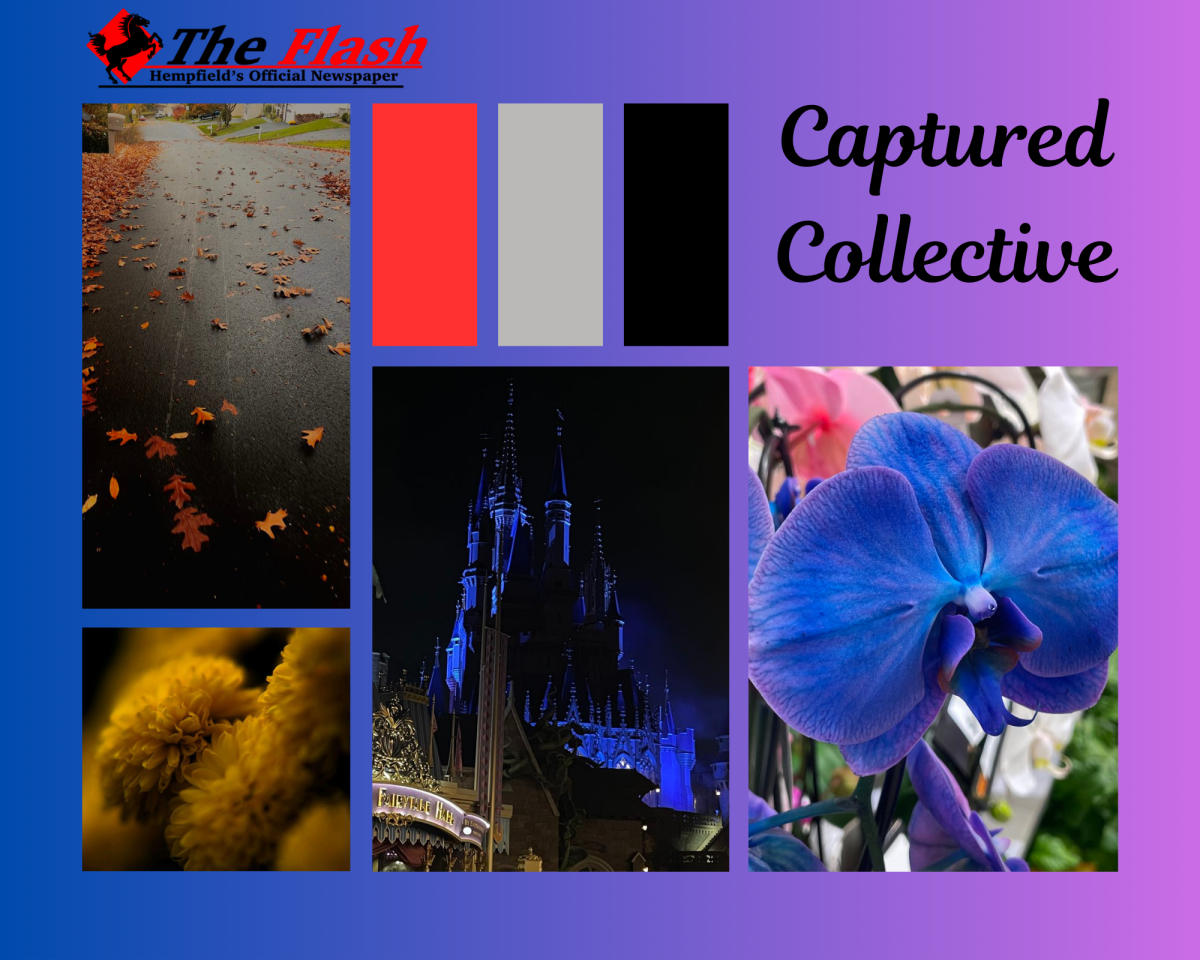 Captured Collective